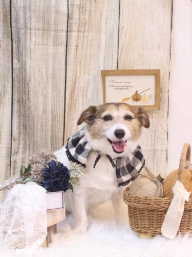 20241008こはるちゃん